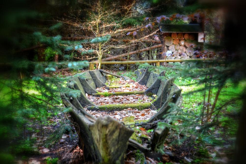 Boat Forest Ailing Nature Ships Boats Ship Tree Boat Forest Ailing Nature Ships Boats Ship Tree