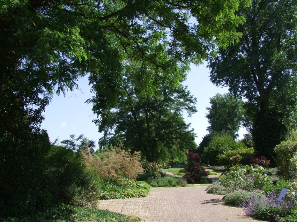 Botanical Garden Düsseldorf Garden Park Spring Botanical Garden Düsseldorf Garden Park Spring