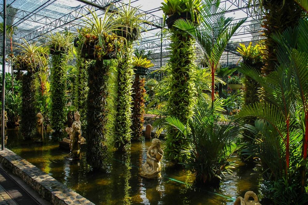 Botanical Garden Plant Water Botanical Garden Plant Water