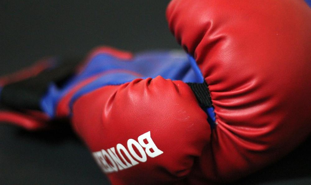 Boxing Gloves Gloves Boxing Sports Martial Arts Boxing Gloves Gloves Boxing Sports Martial Arts