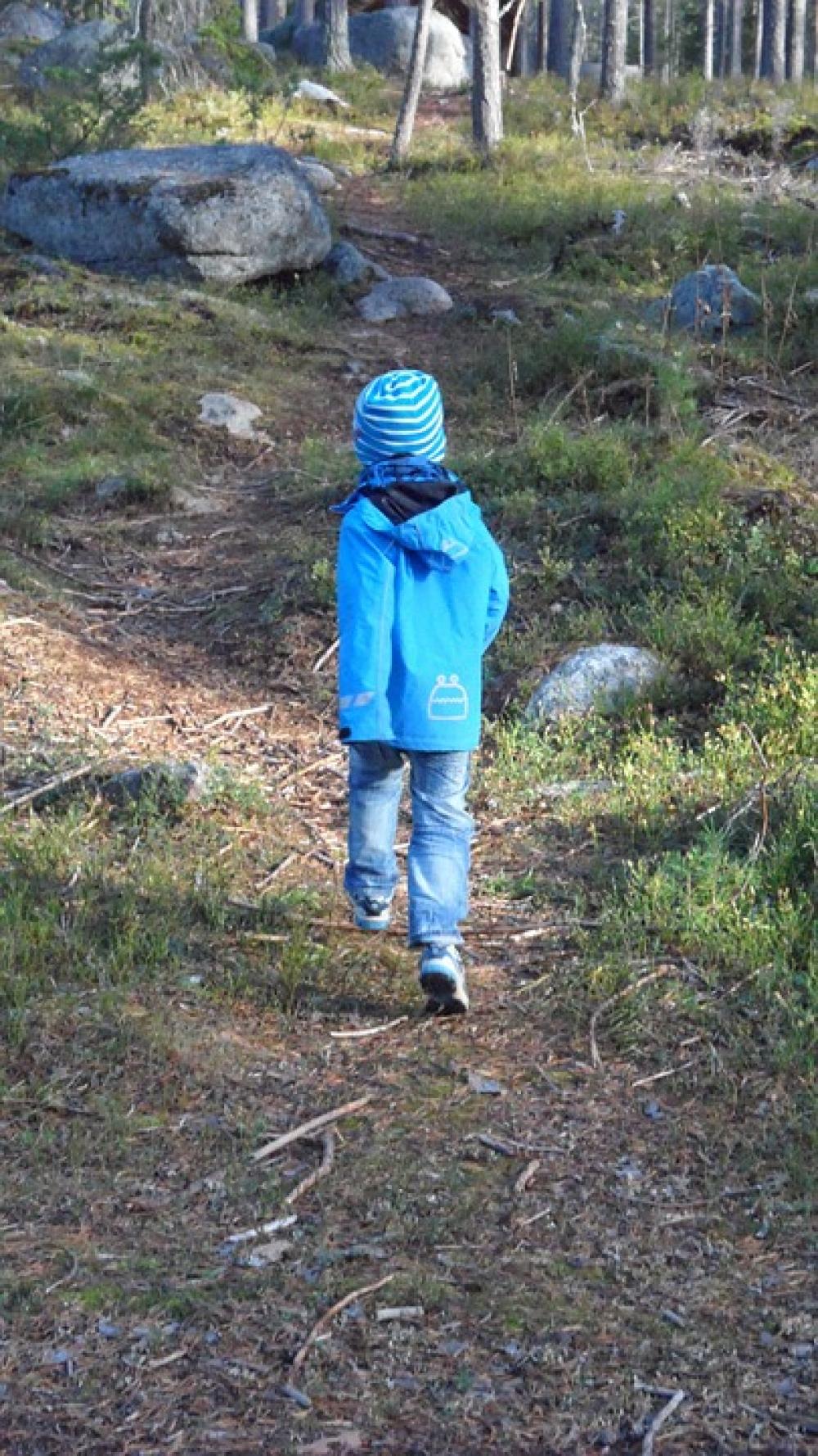 Boy Forest Little Boy Trees Infant Kid Running Boy Forest Little Boy Trees Infant Kid Running