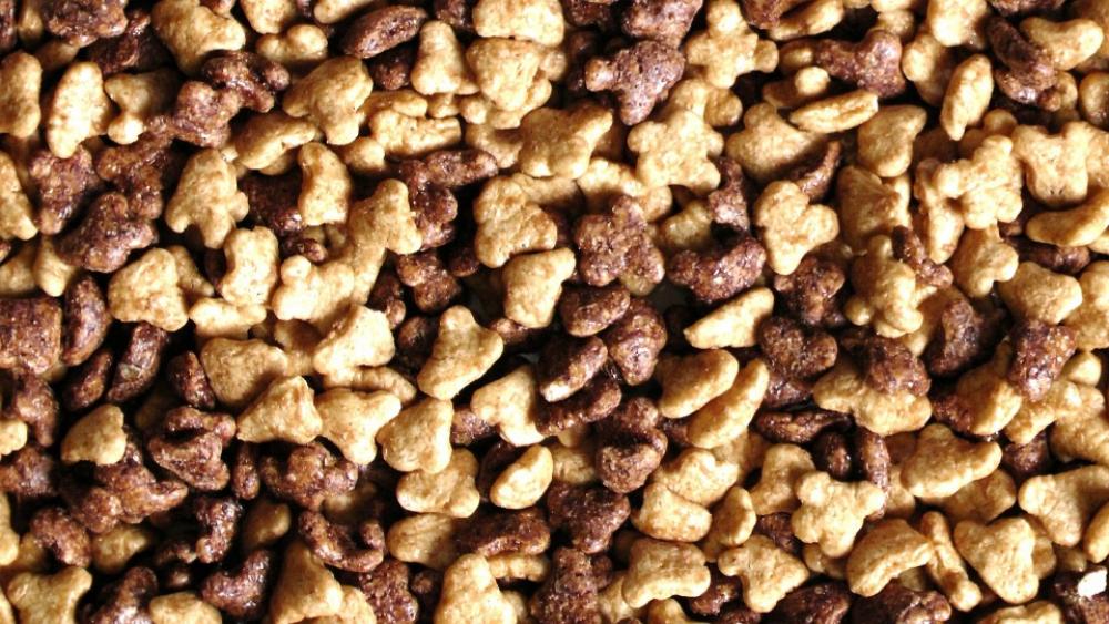 Breakfast Cereal Cereal Breakfast Food Cook Breakfast Cereal Cereal Breakfast Food Cook