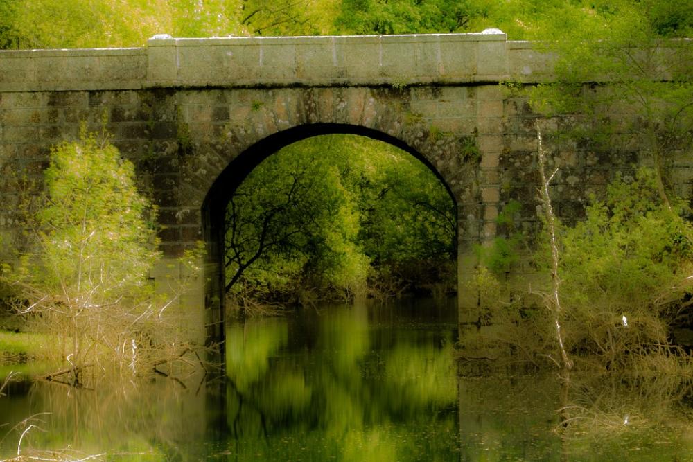 Bridge Old Bridge Water Bridge Old Bridge Water
