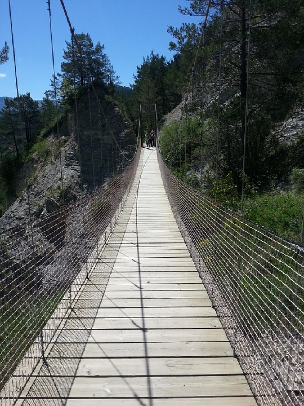 Bridge Suspension Bridge Path Bridge Suspension Bridge Path