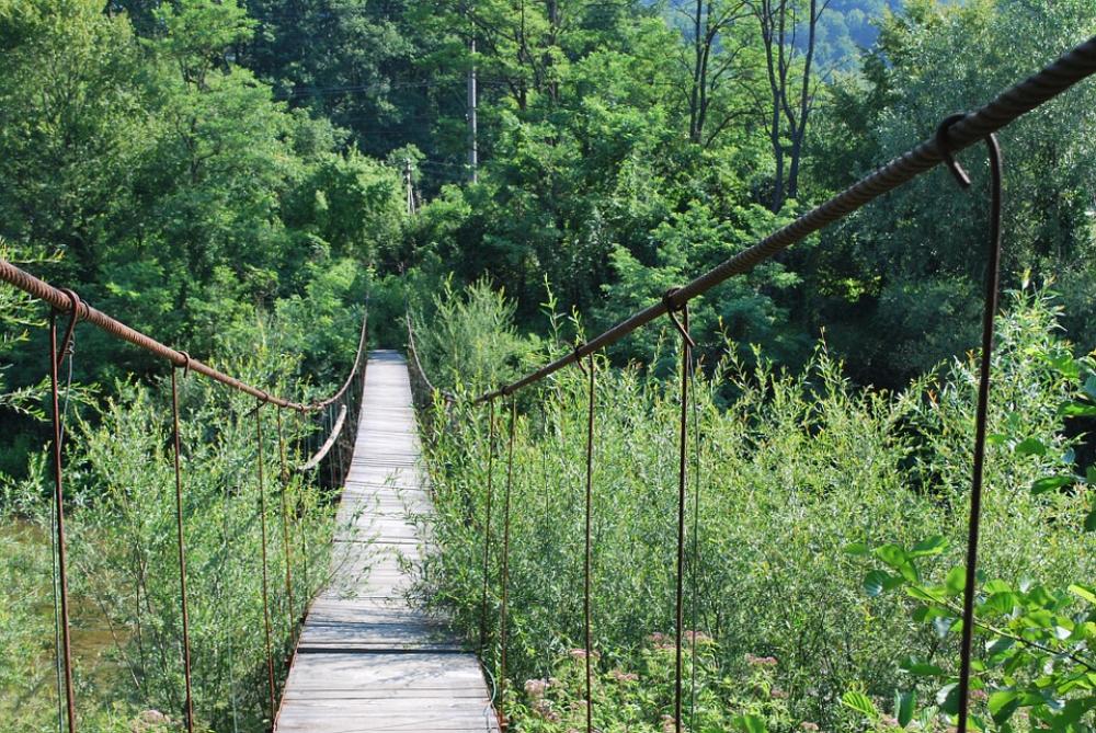 Bridge Small River Suspension Bridge Trail Bridge Small River Suspension Bridge Trail