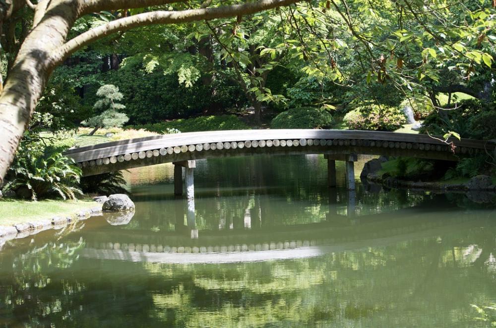 Bridge Wood Bridge Peaceful Spot Calmness Bridge Wood Bridge Peaceful Spot Calmness