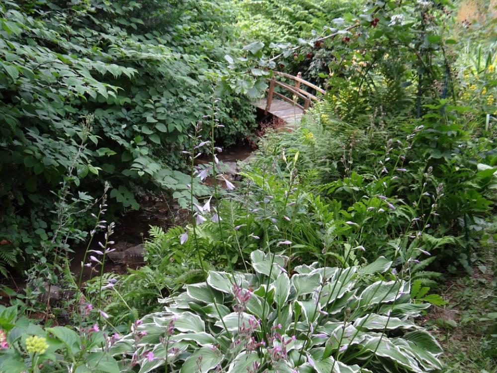 Bridge Garden Bach Bridge Brook Bridge Garden Bach Bridge Brook