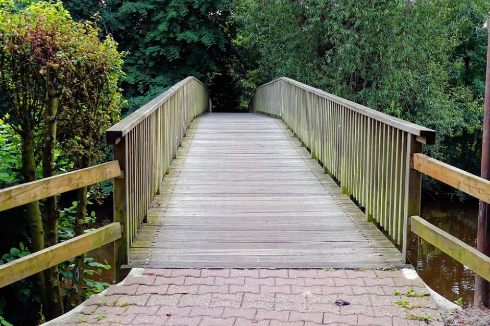Bridge Wood River Crossing Web Park Trees Idyll Bridge Wood River Crossing Web Park Trees Idyll