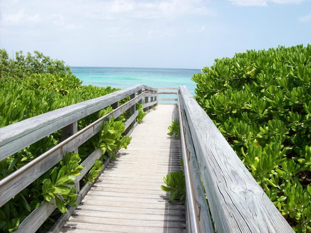 Bridge Wood Way Beach Ocean Sea Water Nature Bridge Wood Way Beach Ocean Sea Water Nature