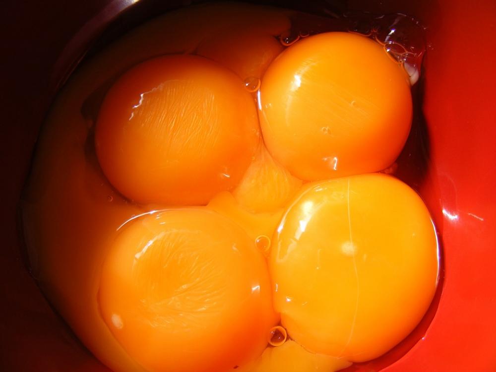 Broken Egg Eggs Inside Oocyte Yellow Yolk Food Broken Egg Eggs Inside Oocyte Yellow Yolk Food