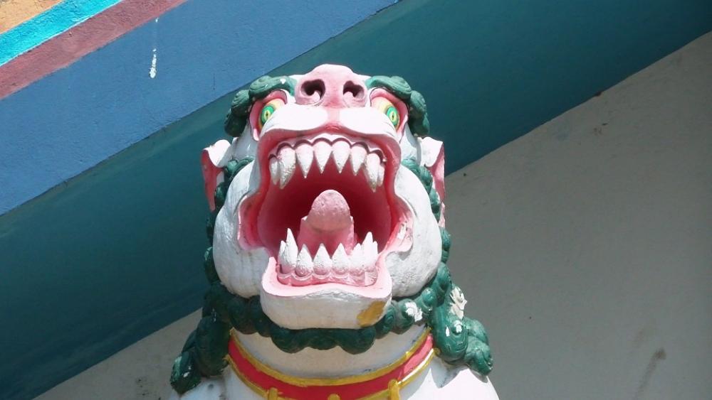 Buddhist Buddhism Temple Monastery Lion Face Buddhist Buddhism Temple Monastery Lion Face