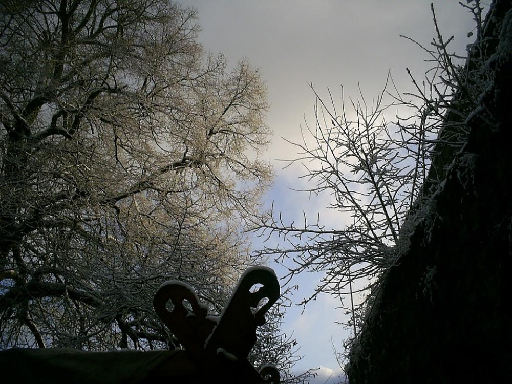 Burg Herzberg Winter Snow Winter Magic Burg Herzberg Winter Snow Winter Magic