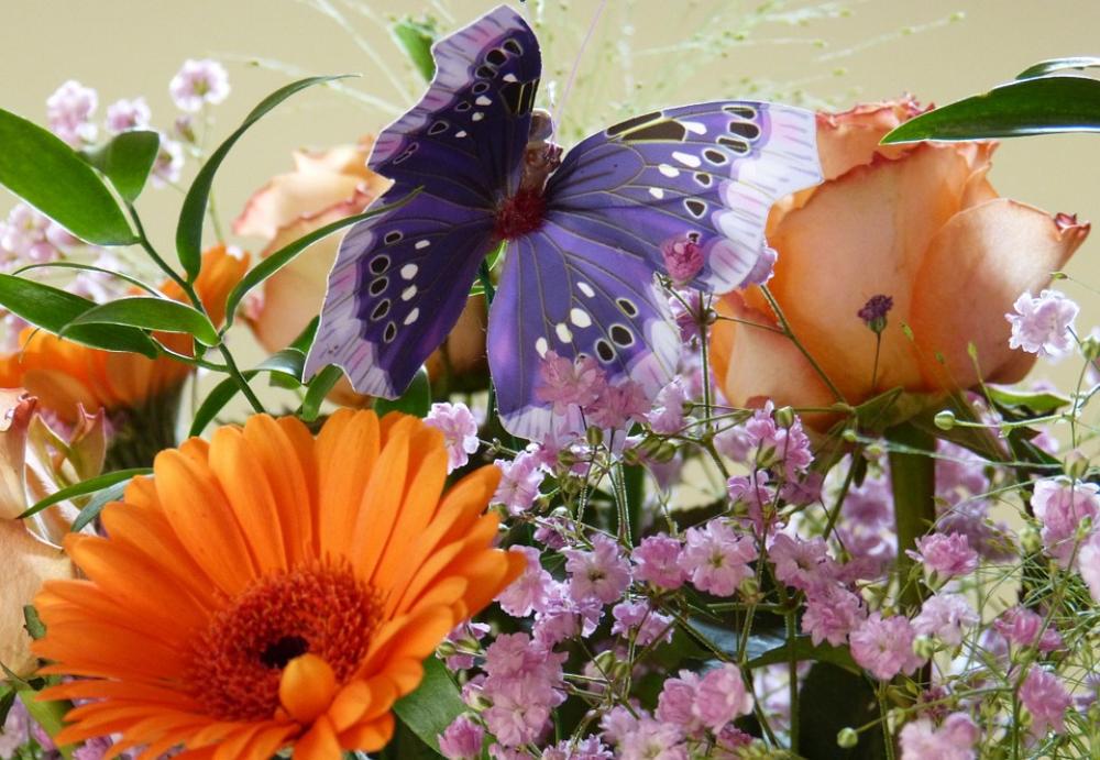 Butterfly Birthday Bouquet Gerbera Rose Blossom Butterfly Birthday Bouquet Gerbera Rose Blossom