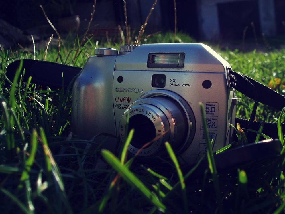 Camera Grass Green Camera Grass Green