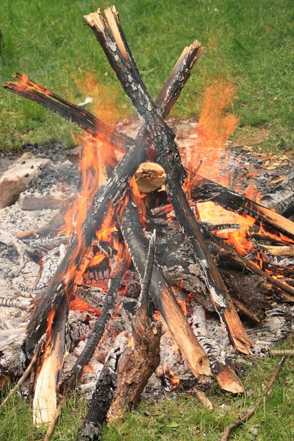 Campfire Celebration Fire Party Red Wood Nature Campfire Celebration Fire Party Red Wood Nature