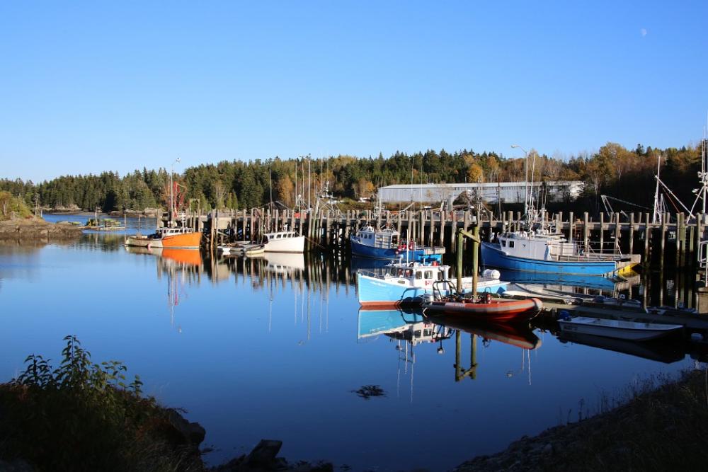 Canada Fishing Harbor Sea Ocean Boats Pier Canada Fishing Harbor Sea Ocean Boats Pier