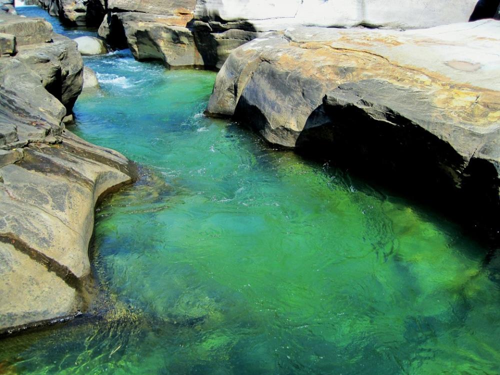 Canal Water Stream Pool Clear Green Canal Water Stream Pool Clear Green