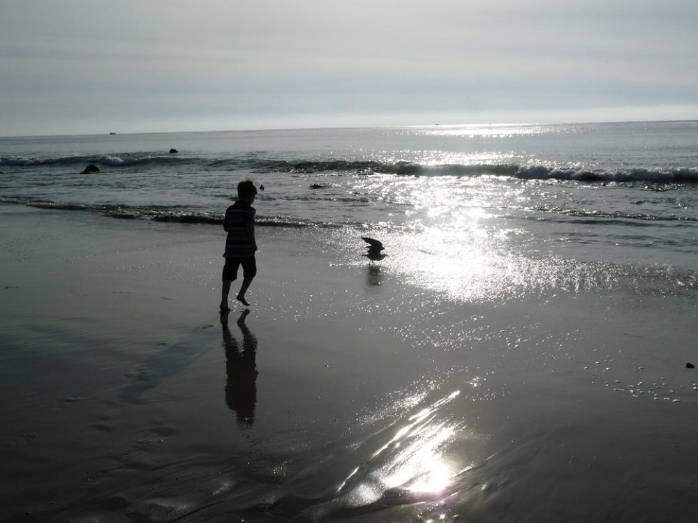 Carlsbad California Beach Seaside Sunset Ocean Carlsbad California Beach Seaside Sunset Ocean
