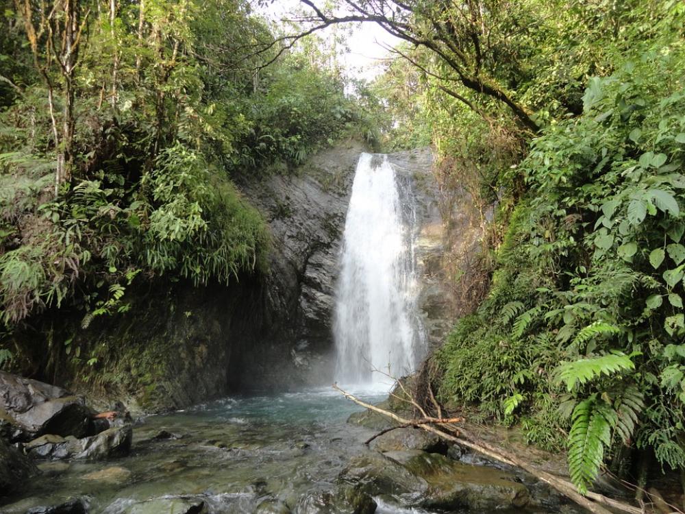 Cascade Rain Forest Waterfall Jungle Wild Nature Cascade Rain Forest Waterfall Jungle Wild Nature