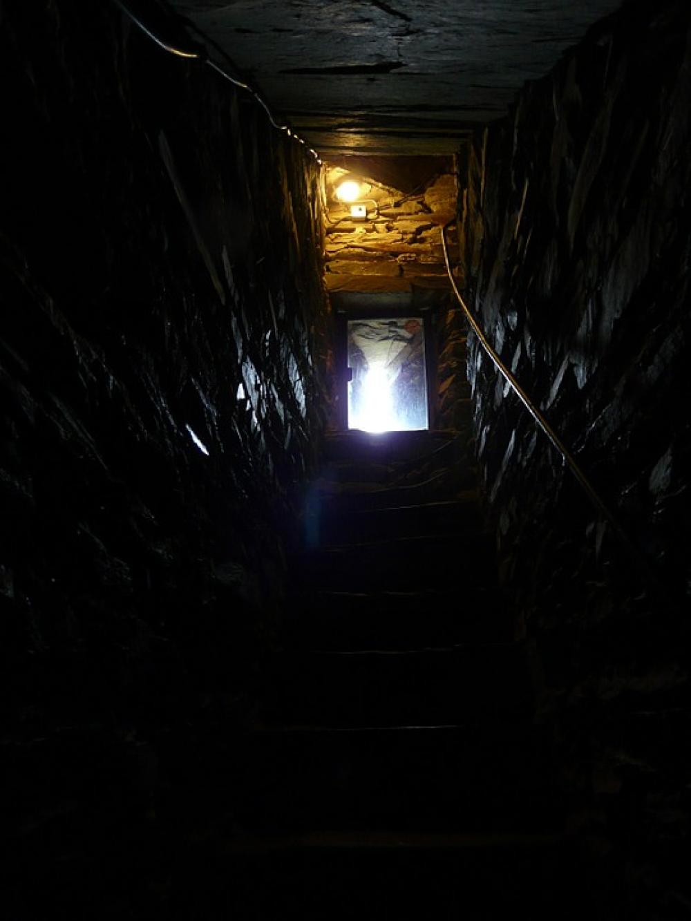 Cellar Outlet Gang Dark Creepy Gloomy Risk Cellar Outlet Gang Dark Creepy Gloomy Risk