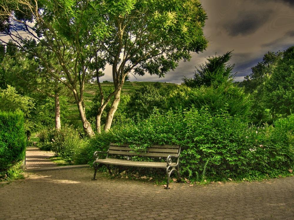 Cemetery Bank Rest Park Mood Away Cemetery Bank Rest Park Mood Away