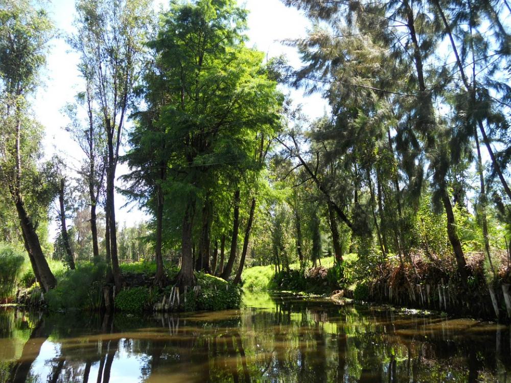 Channel Xochimilco Trajinera Barge Water River Channel Xochimilco Trajinera Barge Water River