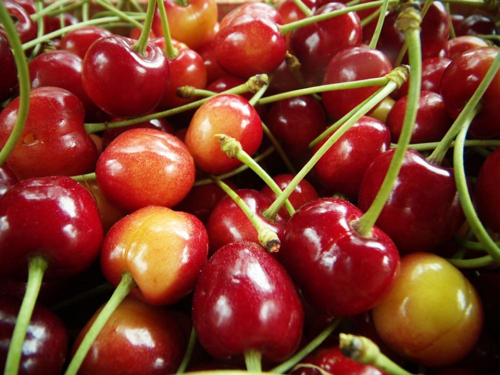 Cherries Red Macro Fruit Sweet Cherries Red Macro Fruit Sweet