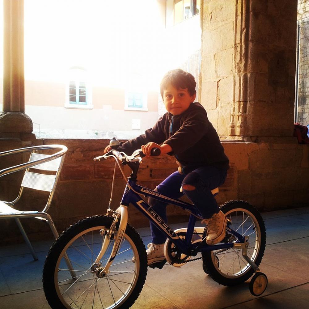 Child Toy Learning Bicycle Child Toy Learning Bicycle