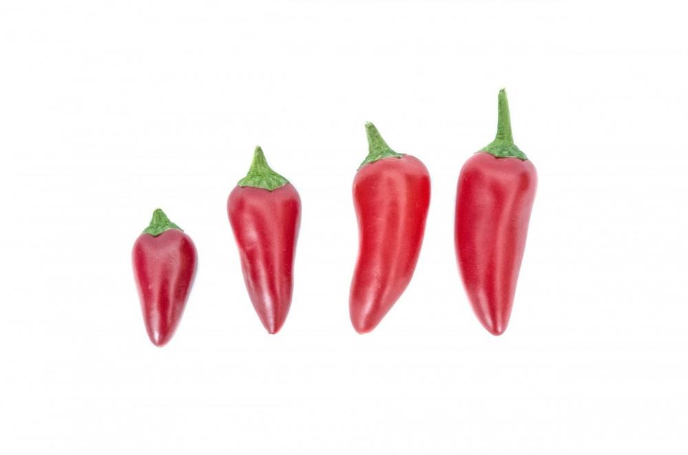 Chili Close-Up Cooking Food Heat Hot Ingredient Chili Close-Up Cooking Food Heat Hot Ingredient