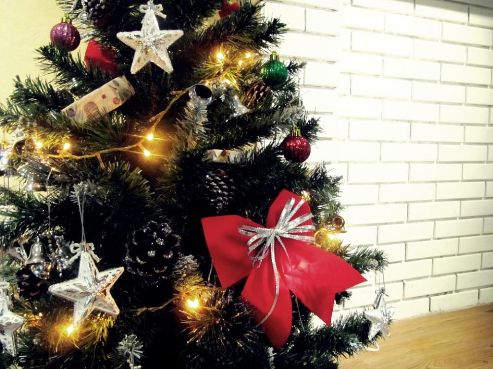 Christmas Tree Holiday Xmas Evergreen Green X-Mas Christmas Tree Holiday Xmas Evergreen Green X-Mas