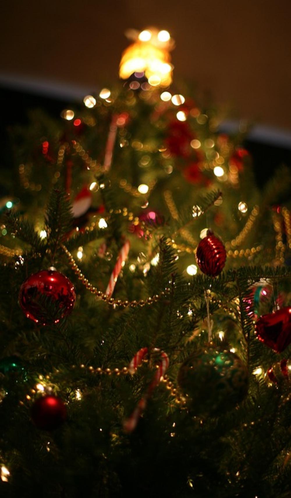 Christmas Tree Holiday Decoration Xmas Season Christmas Tree Holiday Decoration Xmas Season