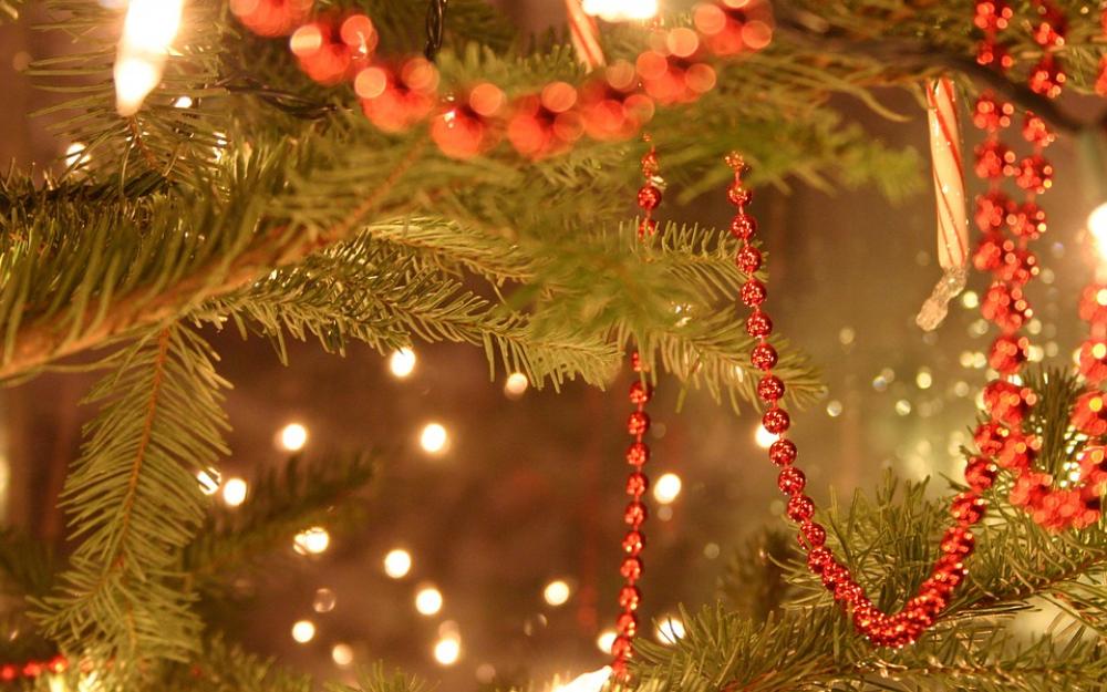 Christmas Tree Christmas Seasonal Festive Christmas Tree Christmas Seasonal Festive