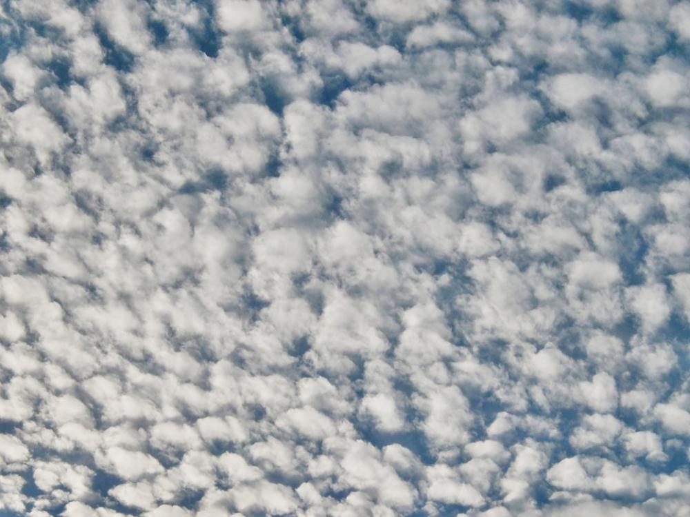 Cirrocumulus Cloud Sky Cirrocumulus Cloud Sky