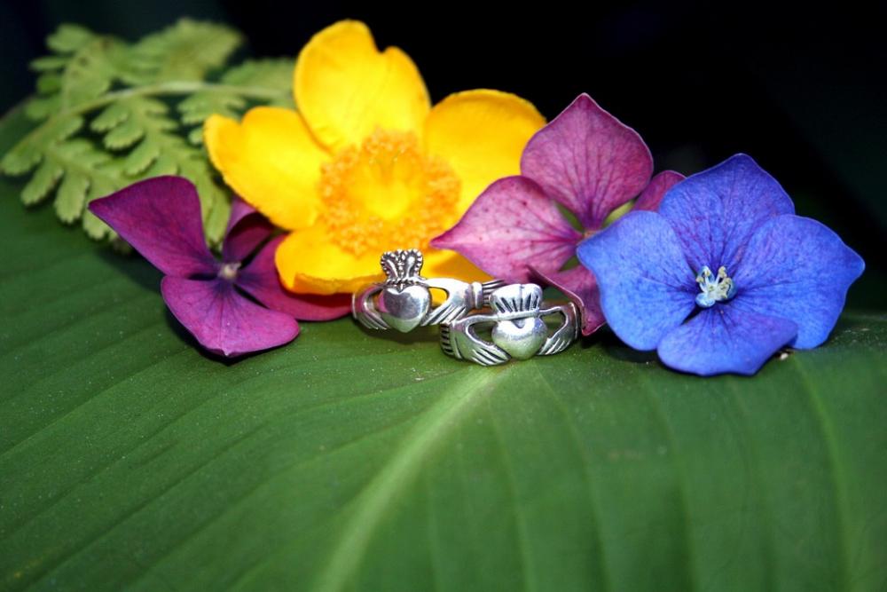 Claddagh Rings Flowers Nature Love Claddagh Rings Flowers Nature Love