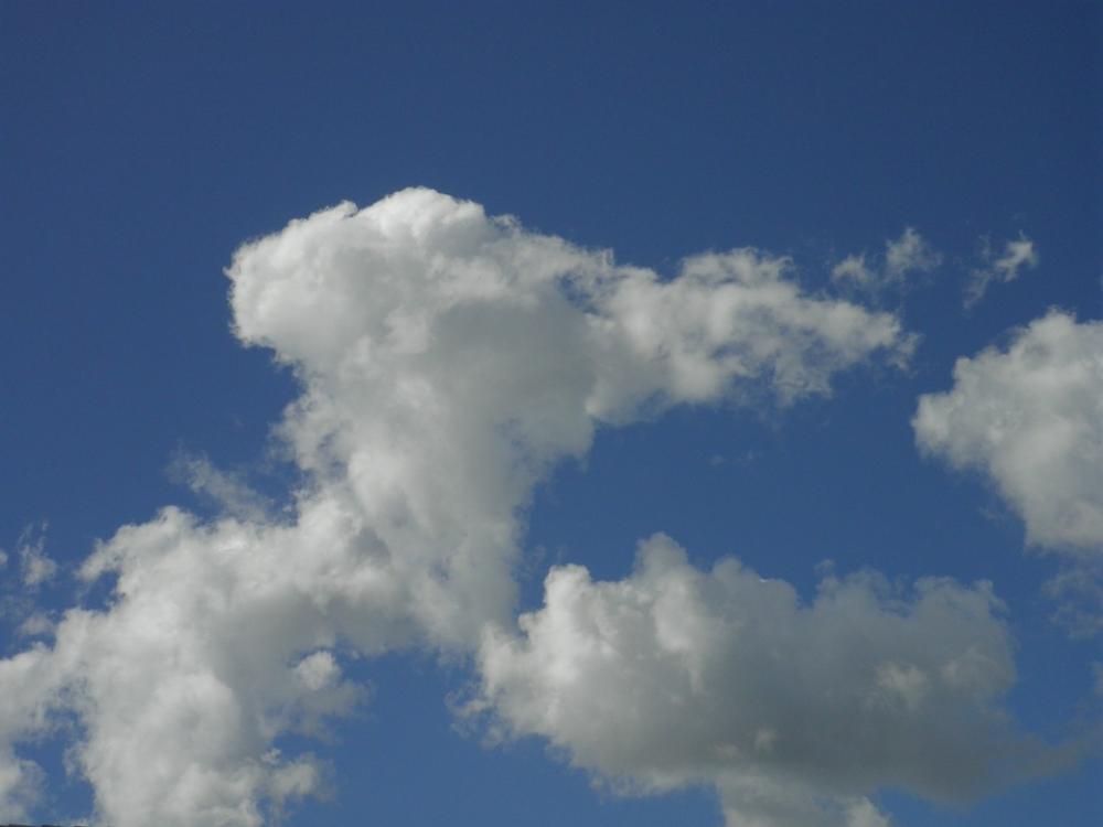 Cloud White Sky Blue Nice Weather Joy Summer Rest Cloud White Sky Blue Nice Weather Joy Summer Rest