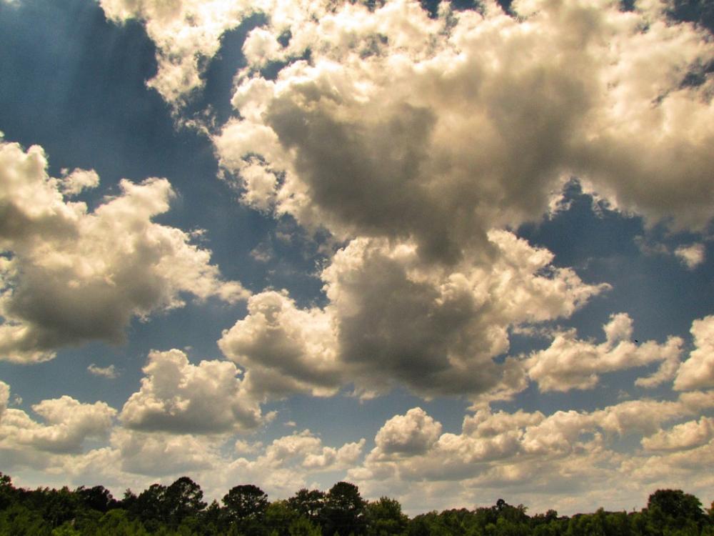 Clouds Sky Blue Trees White Sunlight Nature Clouds Sky Blue Trees White Sunlight Nature
