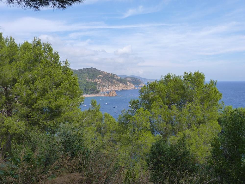 Coast Sea Mediterranean Coast Sea Mediterranean