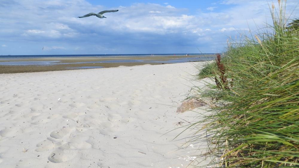 Coast Sand Vacations Beautiful Baltic Sea Sea Coast Sand Vacations Beautiful Baltic Sea Sea