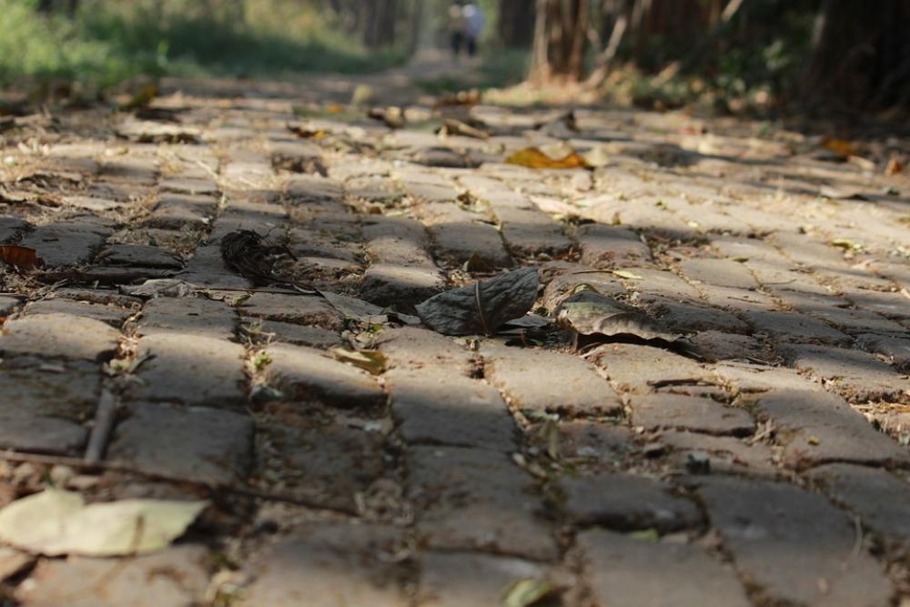 Cobblestones Garden Pathway Old Cobblestones Garden Pathway Old