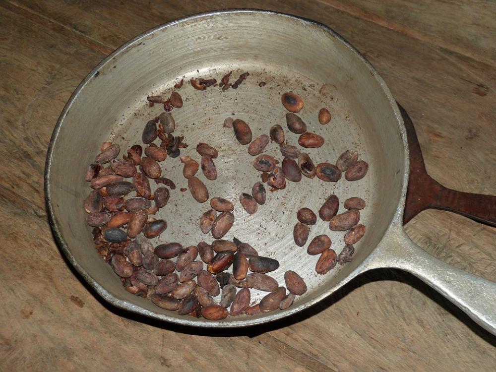 Cocoa Beans Cocoa Chocolate Confectionery Candy Cocoa Beans Cocoa Chocolate Confectionery Candy