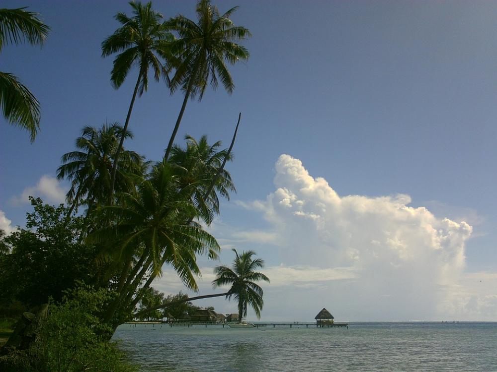 Coconut Lagoon Polynesia Coconut Lagoon Polynesia