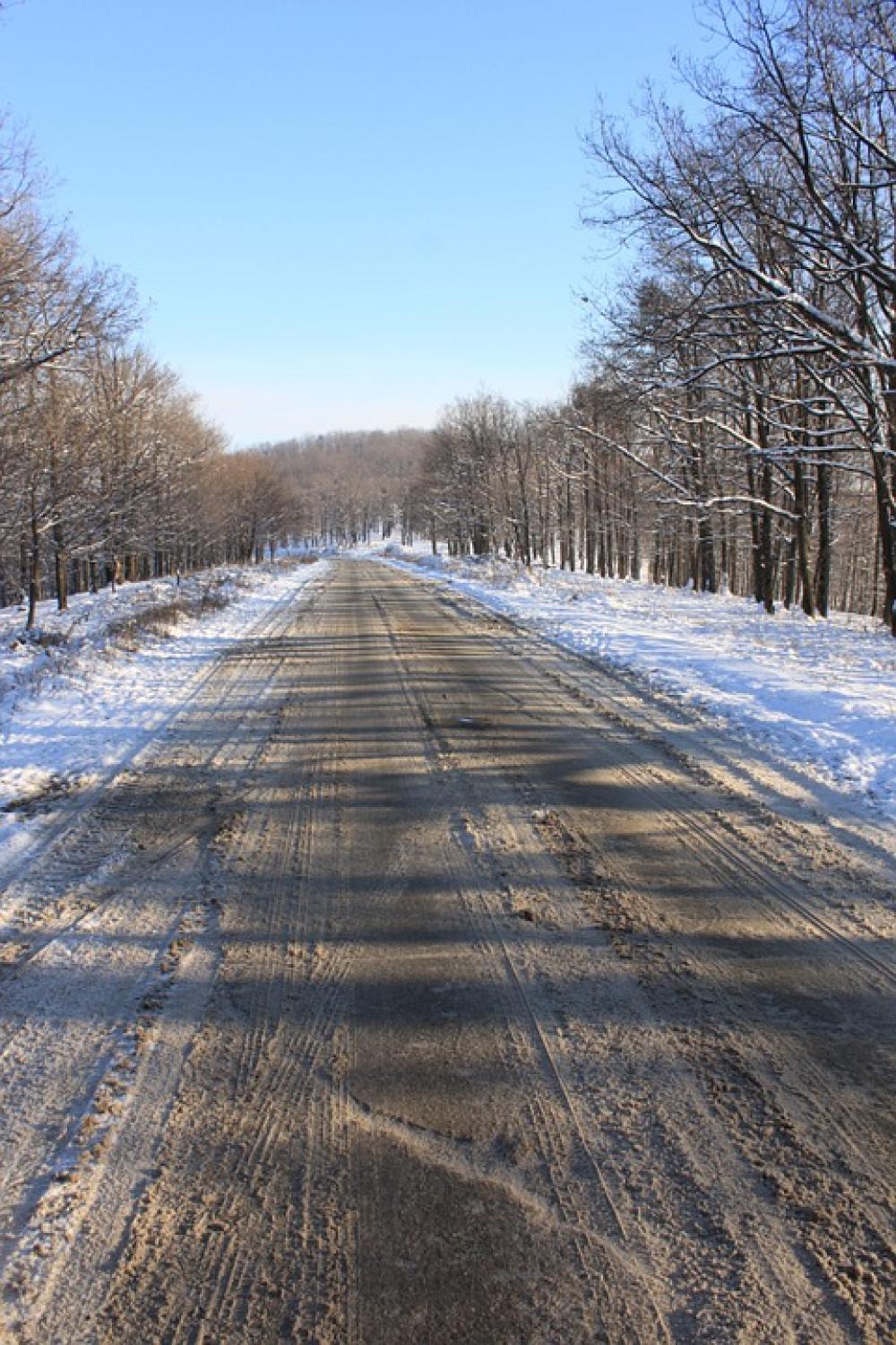 Cold Forest Road Snow Snowy Trees White Winter Cold Forest Road Snow Snowy Trees White Winter