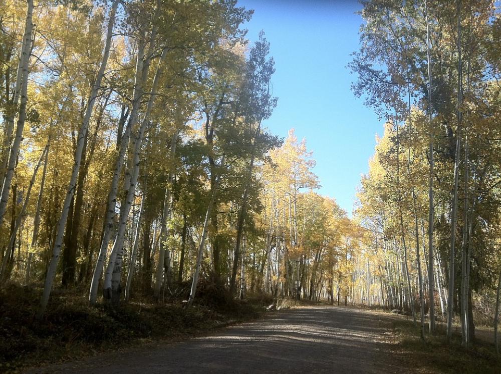 Country Road Rural Country Life Trees Blue Sky Country Road Rural Country Life Trees Blue Sky