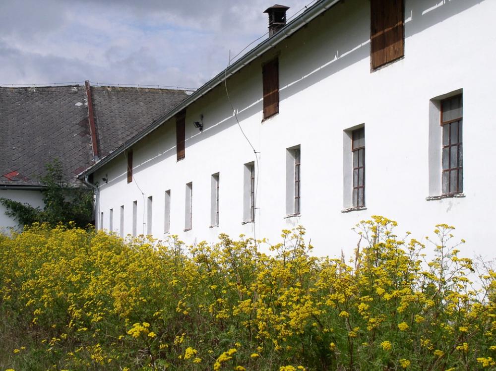 Cowshed Tansy Yellow Sun Summer Light White Cowshed Tansy Yellow Sun Summer Light White