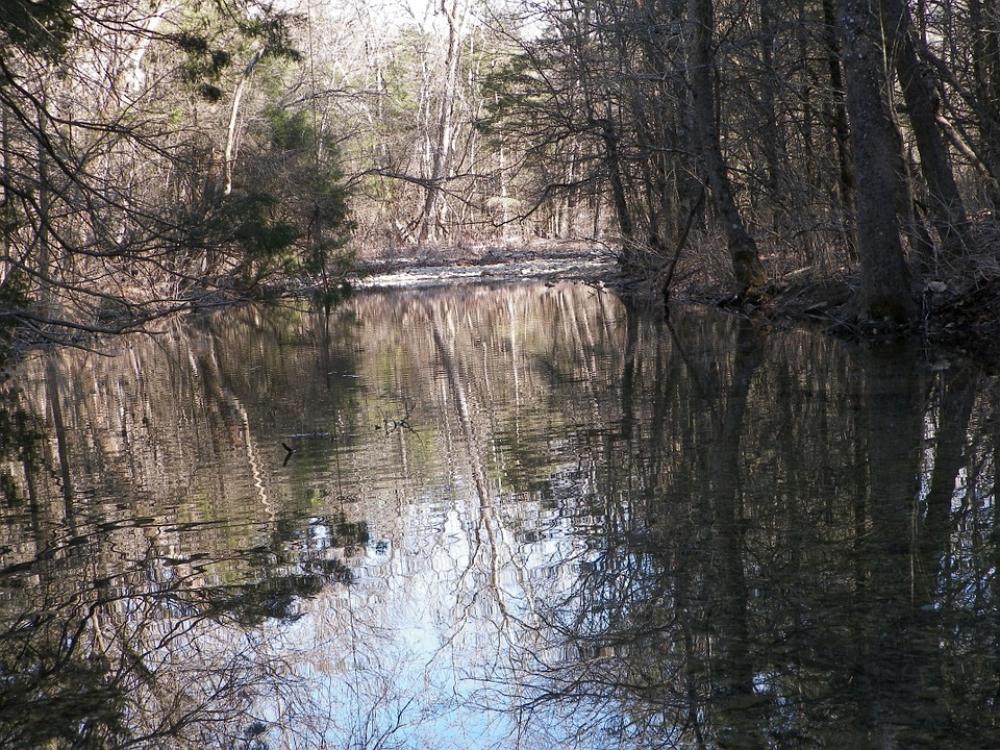 Creek Brook Stream River Flow Beauty Forest Creek Brook Stream River Flow Beauty Forest