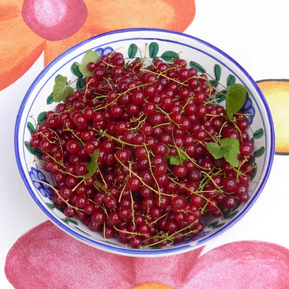 Currants Fruit Red Fruits Soft Fruit Sour Sweet Currants Fruit Red Fruits Soft Fruit Sour Sweet
