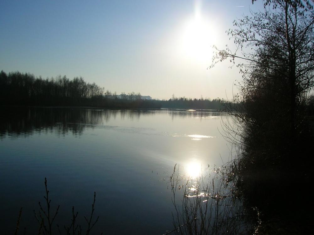 Daneshill Lake Water Sunset Tree Landscape Daneshill Lake Water Sunset Tree Landscape