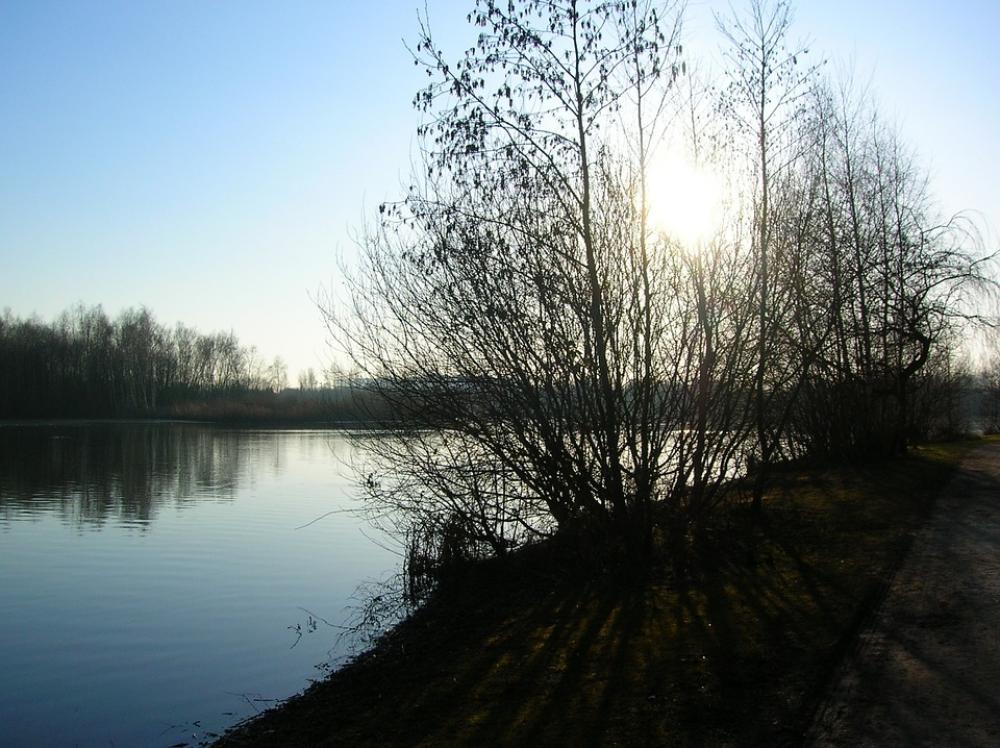 Daneshill Lake Water Sunset Tree Landscape Daneshill Lake Water Sunset Tree Landscape