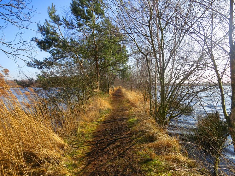 De Grote Peel Nature Reserve Noord Limburg De Grote Peel Nature Reserve Noord Limburg