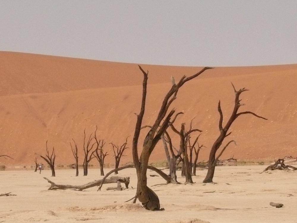 Deadvlei Sahara Dead Vlei Namibia Drought Sand Deadvlei Sahara Dead Vlei Namibia Drought Sand